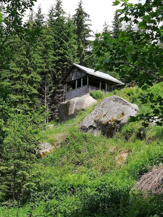 ホテル Complex Pele Zmeitsa エクステリア 写真