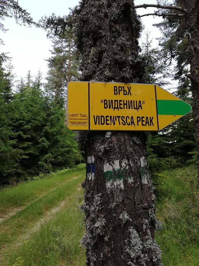 ホテル Complex Pele Zmeitsa エクステリア 写真